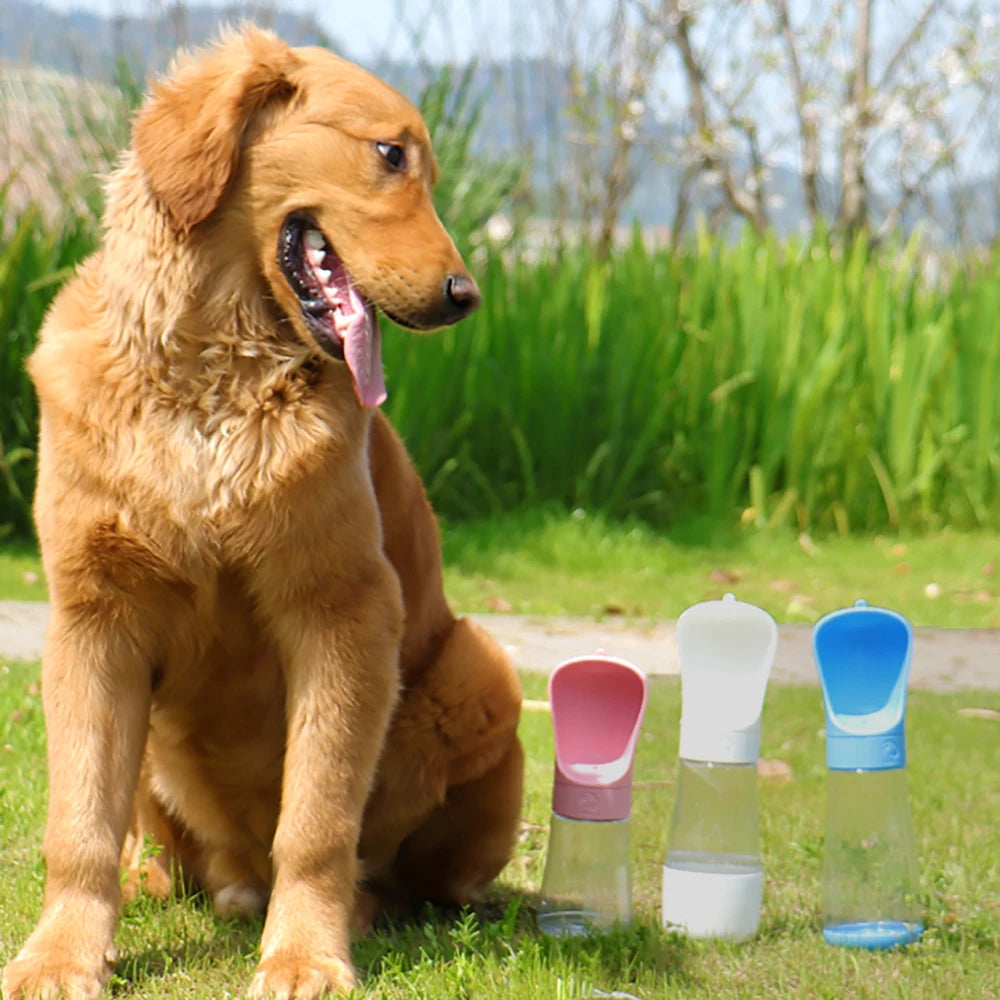2 in 1 Portable Pet Water Bottle With Food Container
